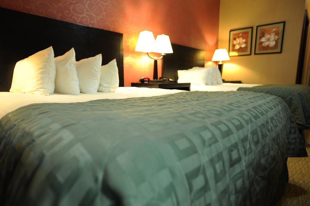 Verve Hotel New York Camera foto